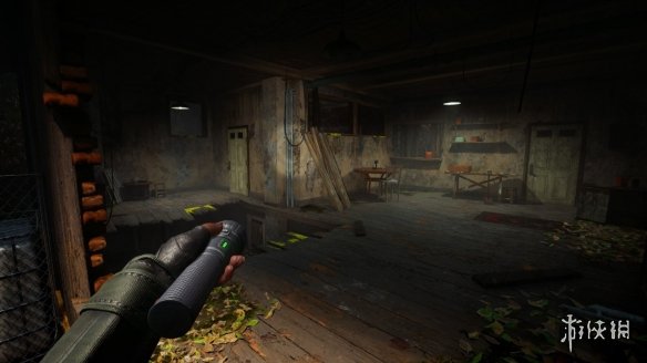 坤哥爆料1月PS+二三档会免:《生化8》《如龙8》等!(图5) 游侠网5