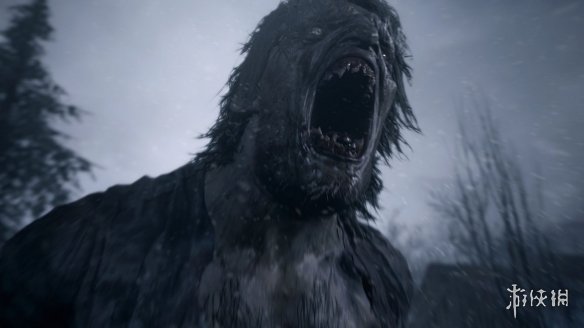 坤哥爆料1月PS+二三档会免:《生化8》《如龙8》等!(图2) 游侠网2