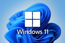 Win11更新再伤玩家：207